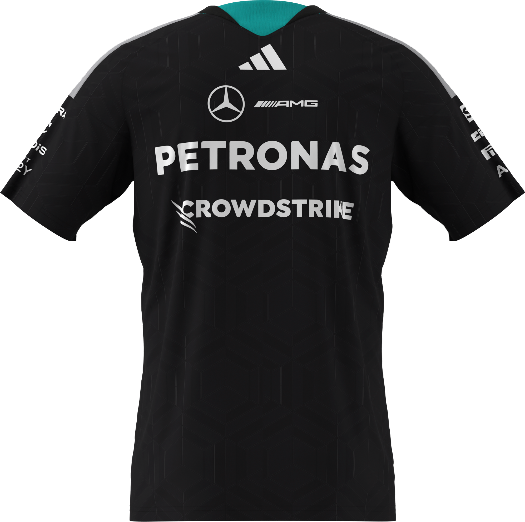 T-shirt męski, Kierowca, Mercedes-AMG F1 - czerń, S