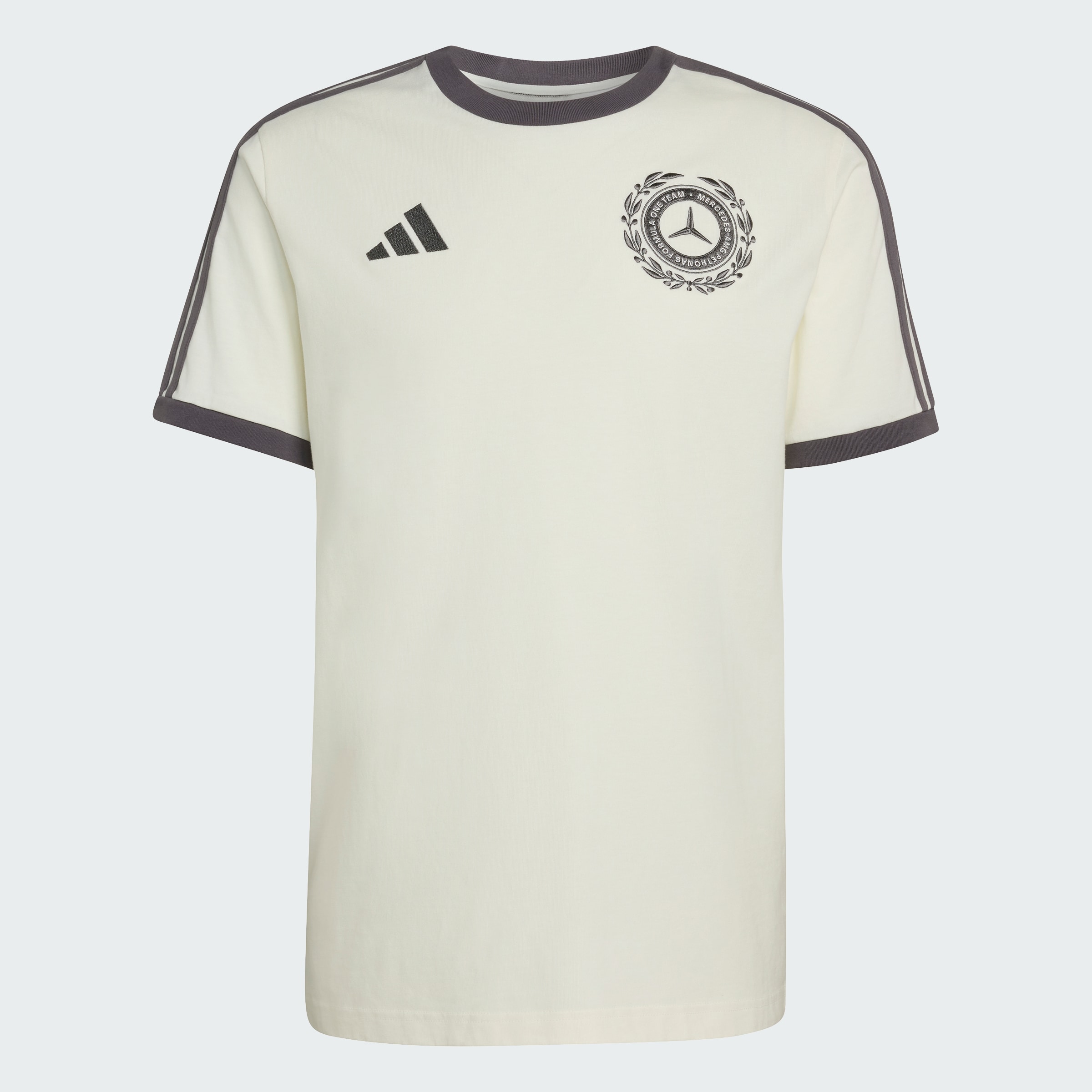 T-shirt męski, Mercedes-AMG F1, 2026 - offwhite, XS