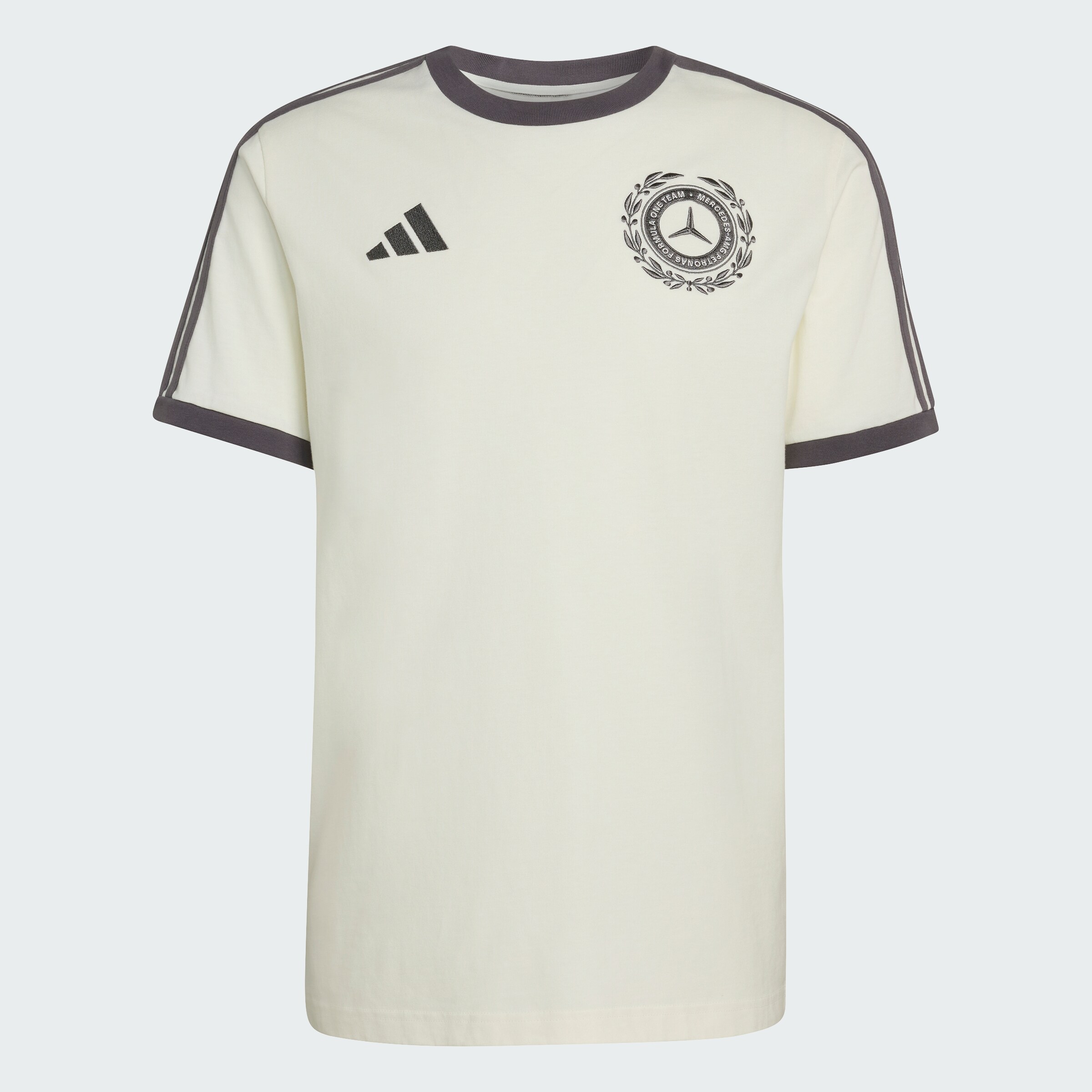 T-shirt męski, Mercedes-AMG F1, 2026 - offwhite, XS