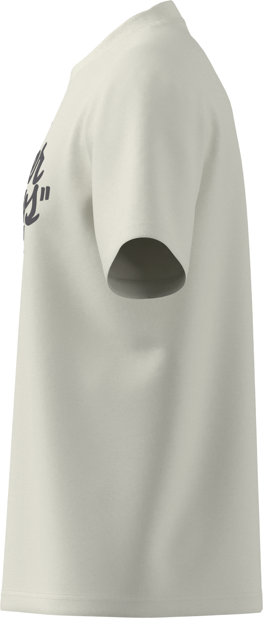 T-shirt męski, Mercedes-AMG F1, 2026 - offwhite, M