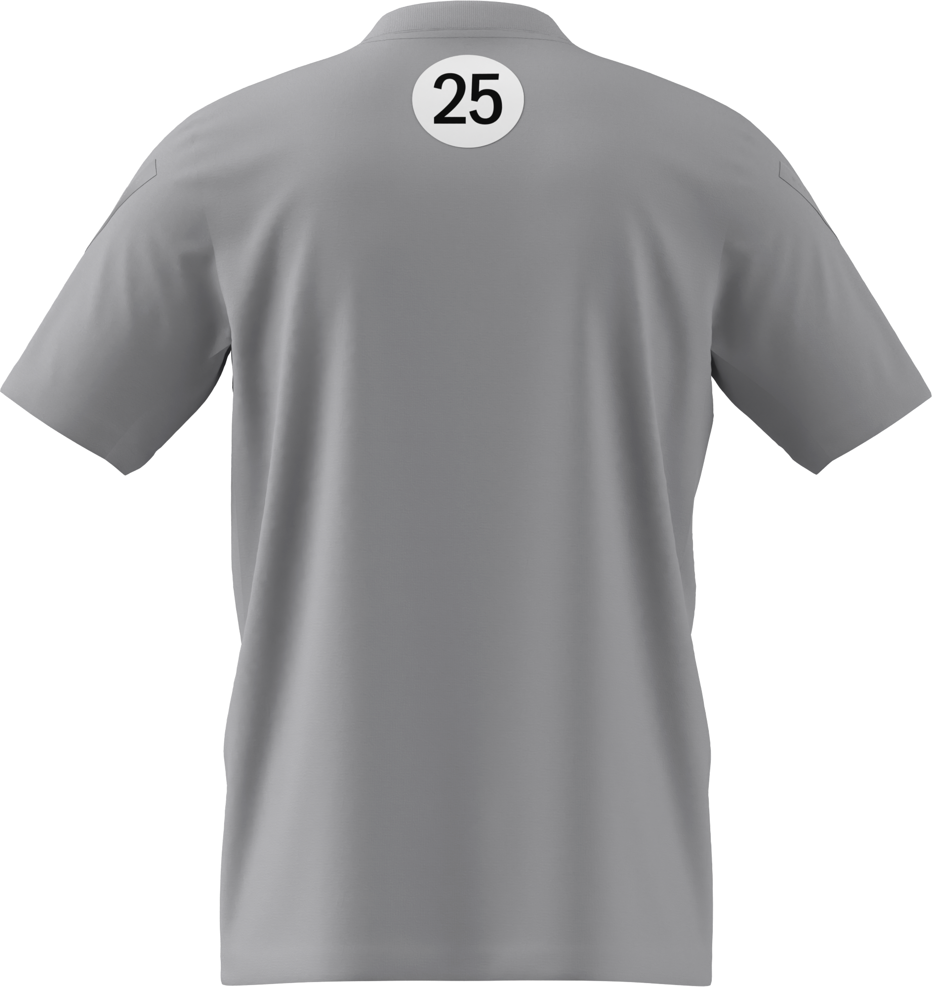 T-shirt męski, Mercedes-AMG F1, Special Edition Silverstone 2025 - szary, XS