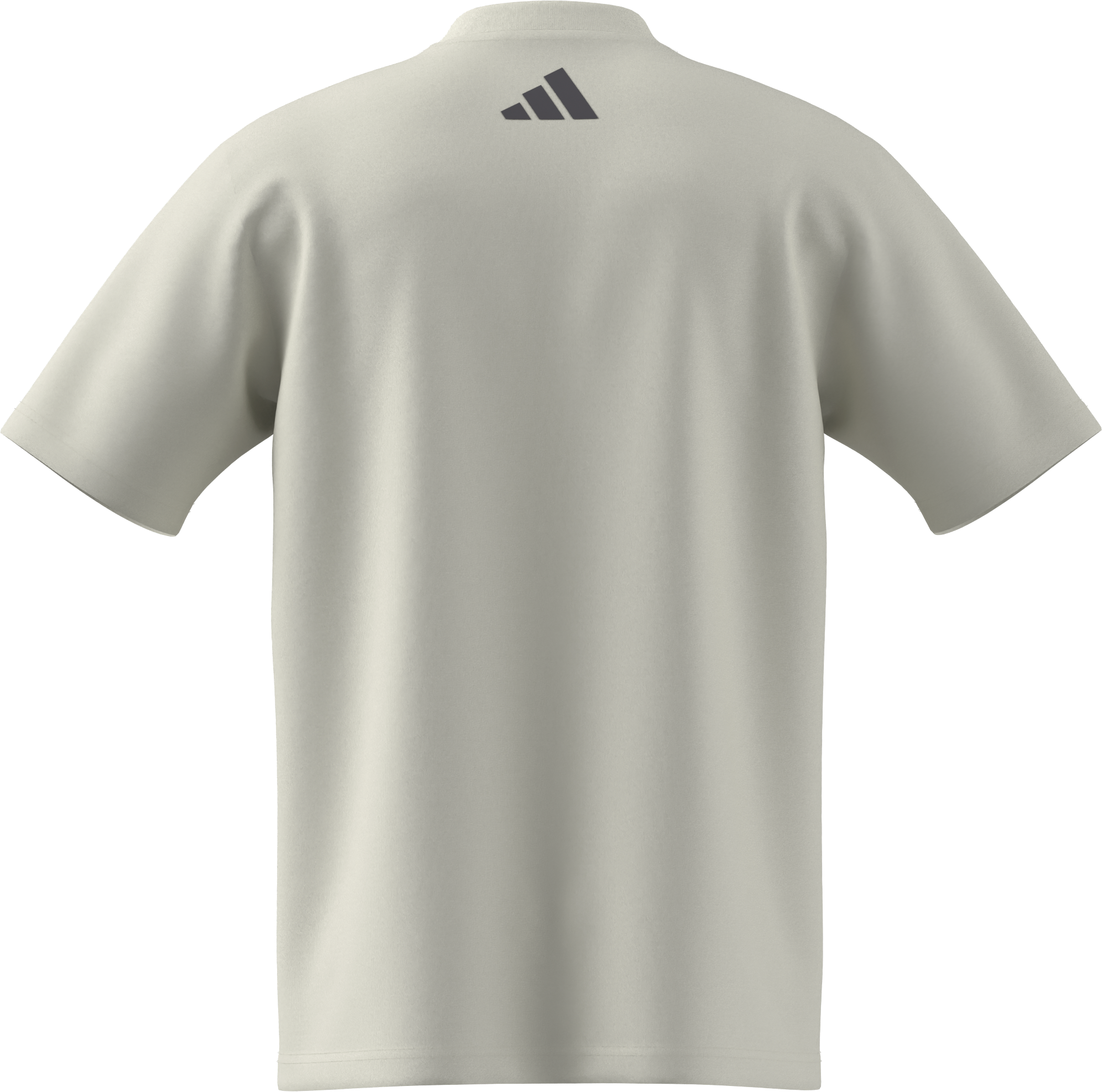 T-shirt męski, Mercedes-AMG F1, 2026 - offwhite, M