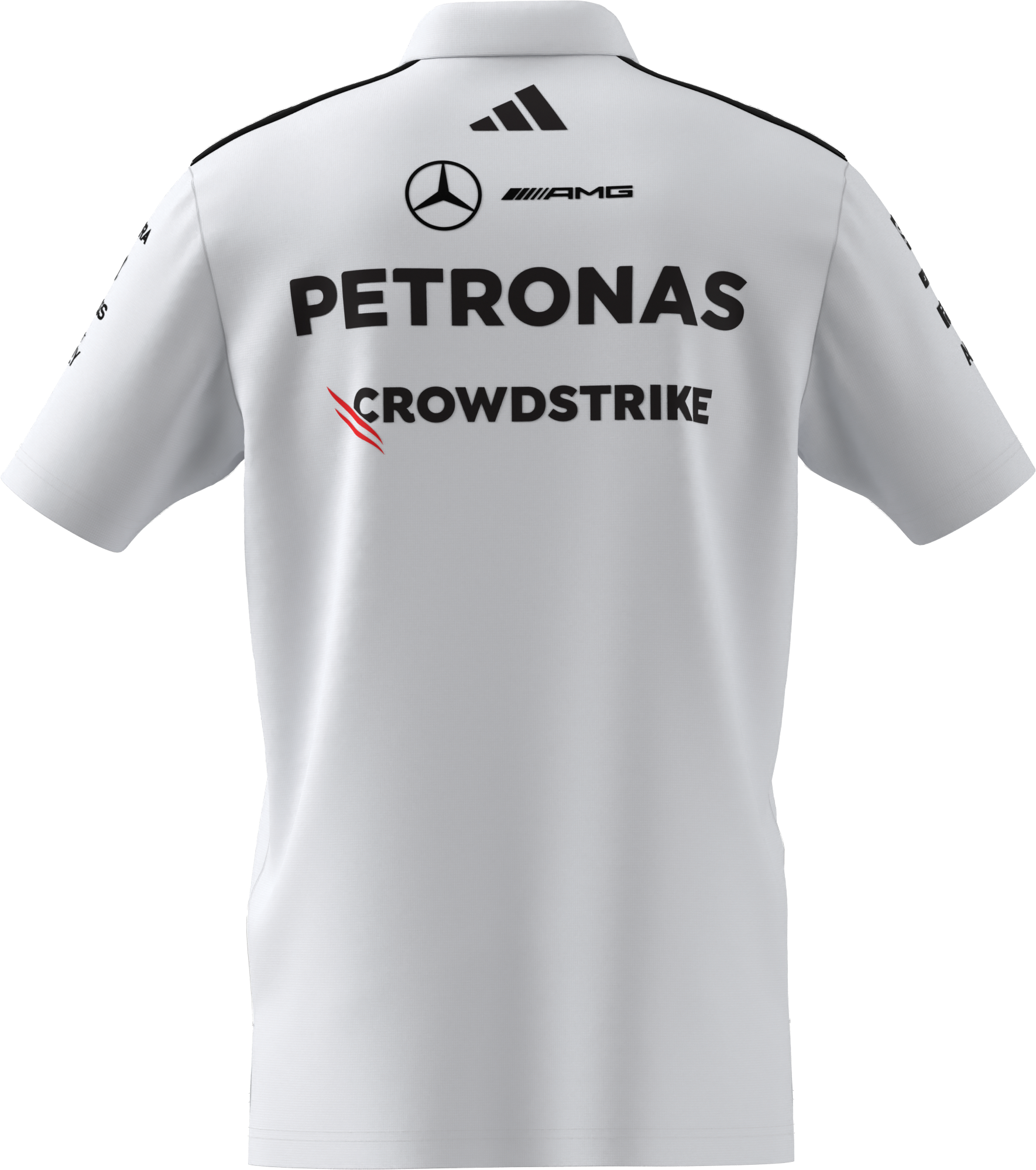 Męska koszulka polo, Team, Mercedes-AMG F1 - biały, L