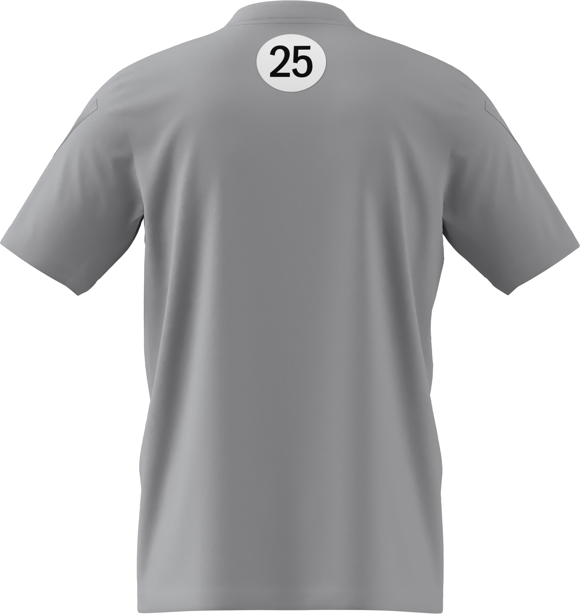 T-shirt męski, Mercedes-AMG F1, Special Edition Silverstone 2025 - szary, S